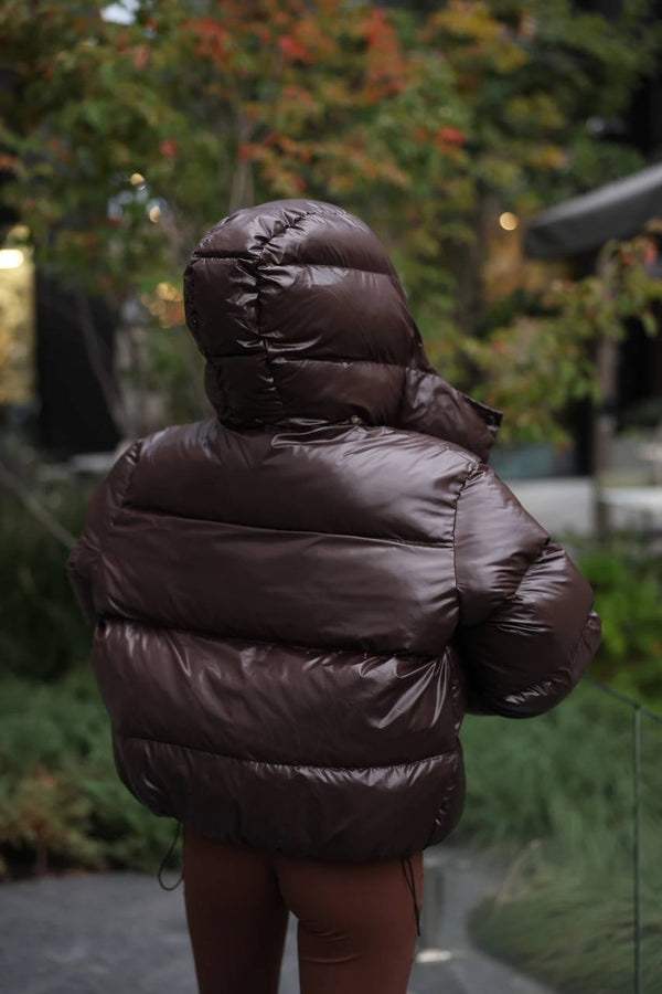 Glossy Hooded Puffer Jacket (Chocolate)